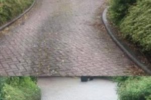 f5be093f-79fd-4e23-af09-6fcd4f21f3ab